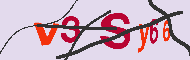 Ungültiger Sicherheitscode